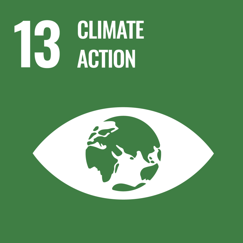 InsideSystems Goal 13