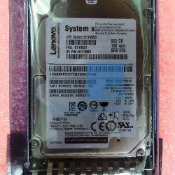 81Y9651 - 900GB 10K 6GBPS NL 2,5" SAS HS SFF