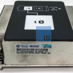 670031 001 C