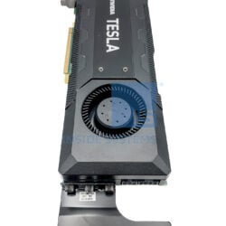 TCTP1 B