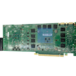 TCTP1 E